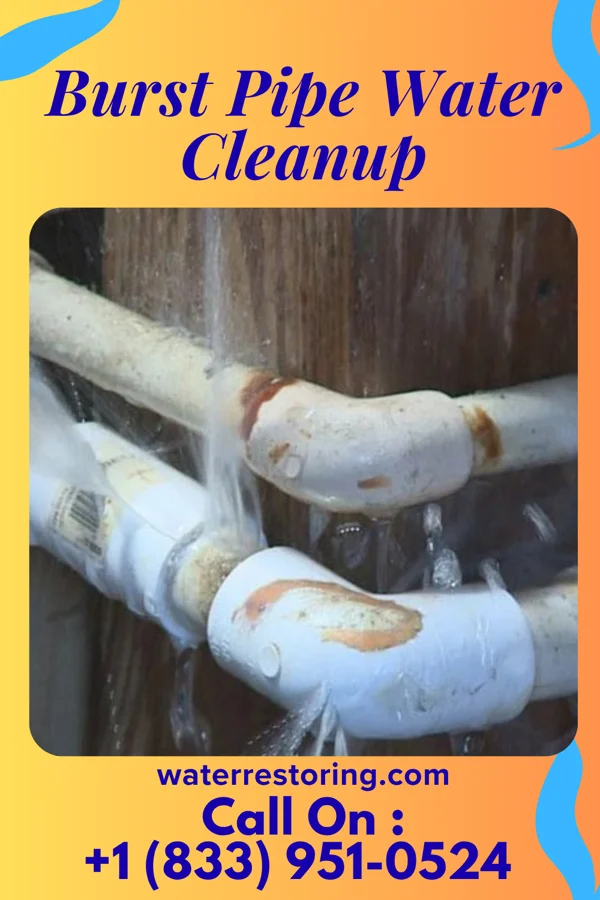 Burst Pipe Water Cleanup in Annapolis, MO